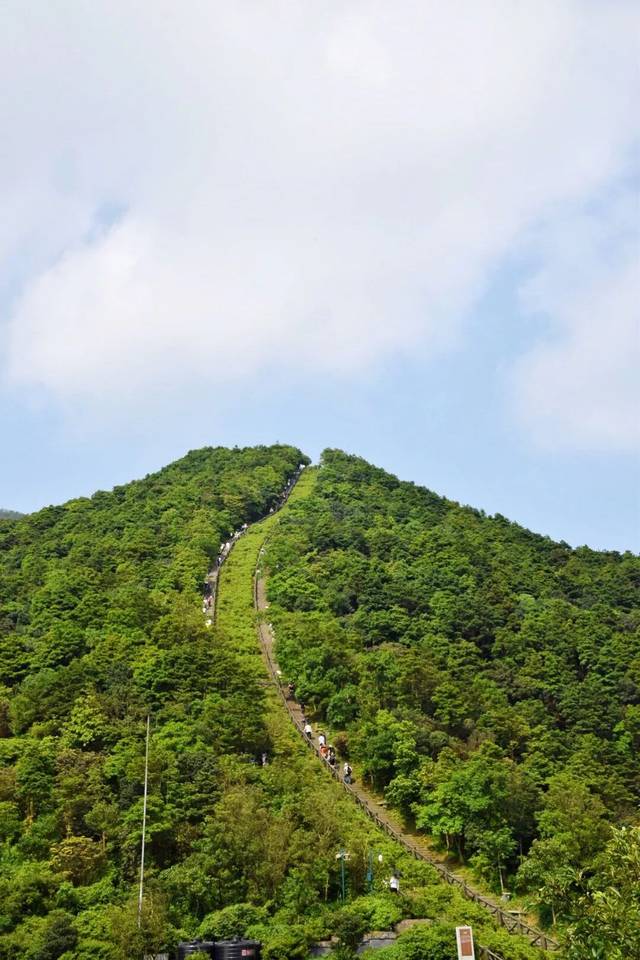 梧桐山和七娘山竟然是火山!不用怕,爬山攻略献上!