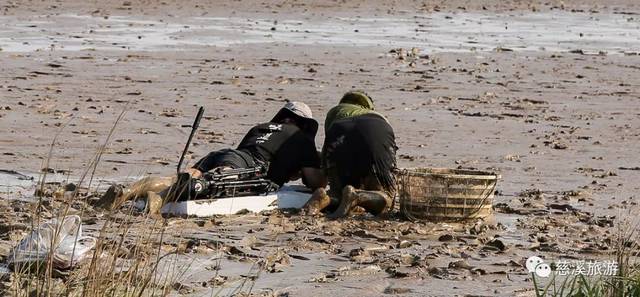 央视《味·道》又来慈溪,这次要探寻的是什么美