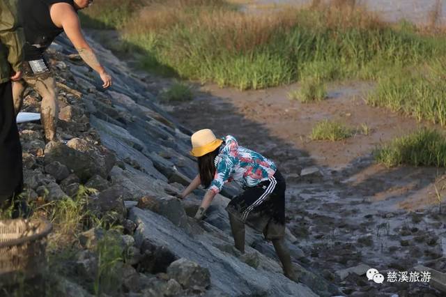 央视《味·道》又来慈溪,这次要探寻的是什么美