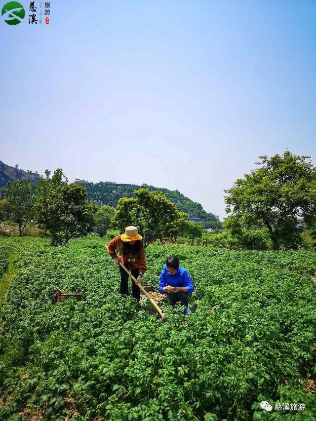 央视《味·道》又来慈溪,这次要探寻的是什么美