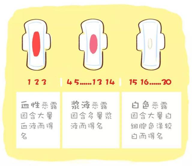 恶露的总量通常为250-300ml,颜色也会随着时间而发生改变.