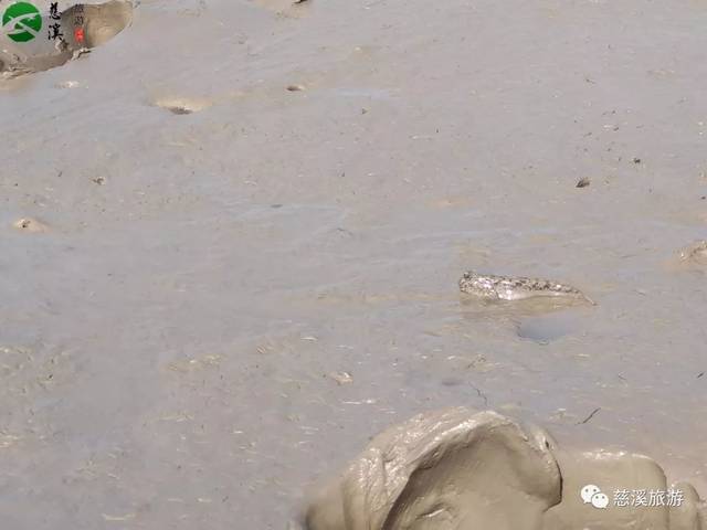 央视《味·道》又来慈溪,这次要探寻的是什么美