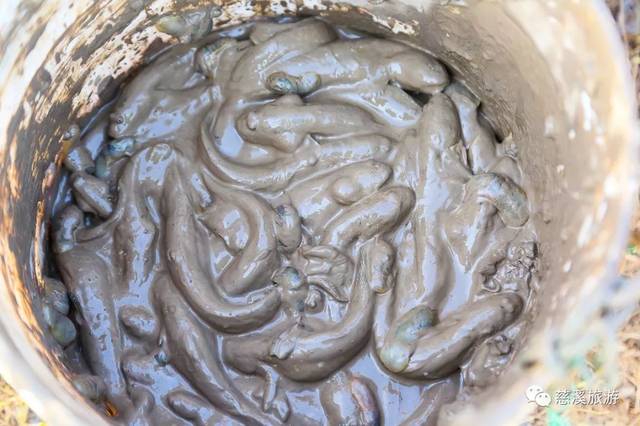 央视《味·道》又来慈溪,这次要探寻的是什么美