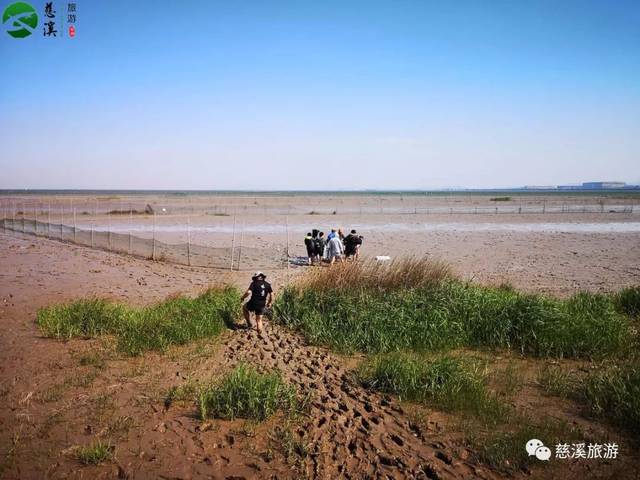 央视《味·道》又来慈溪,这次要探寻的是什么美