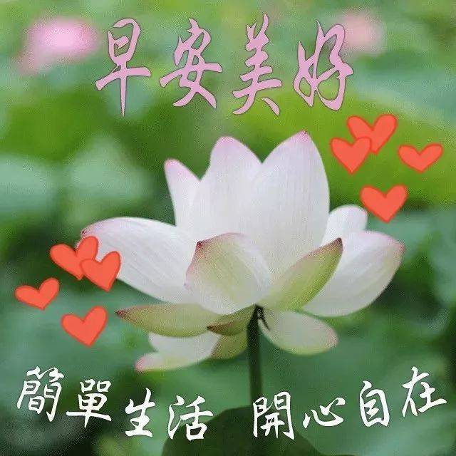 5月早上好短信温馨问候祝福语 最新版漂亮的早上好祝福语图片