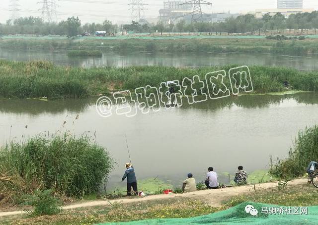 违钓后苦费心思写下凉水河"野钓经验,没想到却引来一众网友怒怼!