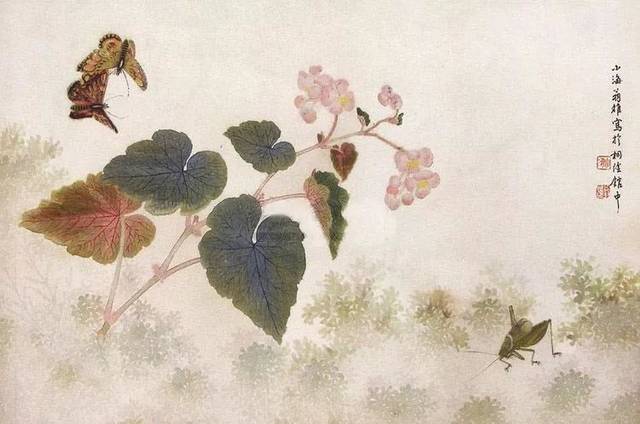 翁小海花鸟鱼虫精品鉴赏