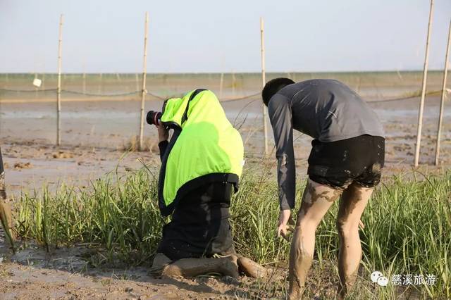 央视《味·道》又来慈溪,这次要探寻的是什么美