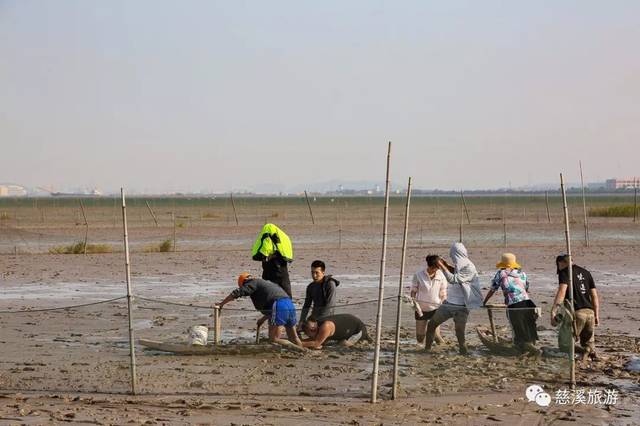 央视《味·道》又来慈溪,这次要探寻的是什么美