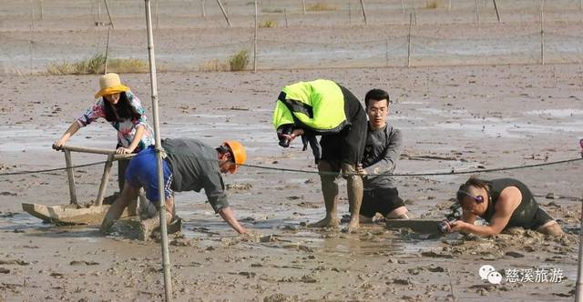 央视《味·道》又来慈溪,这次要探寻的是什么美