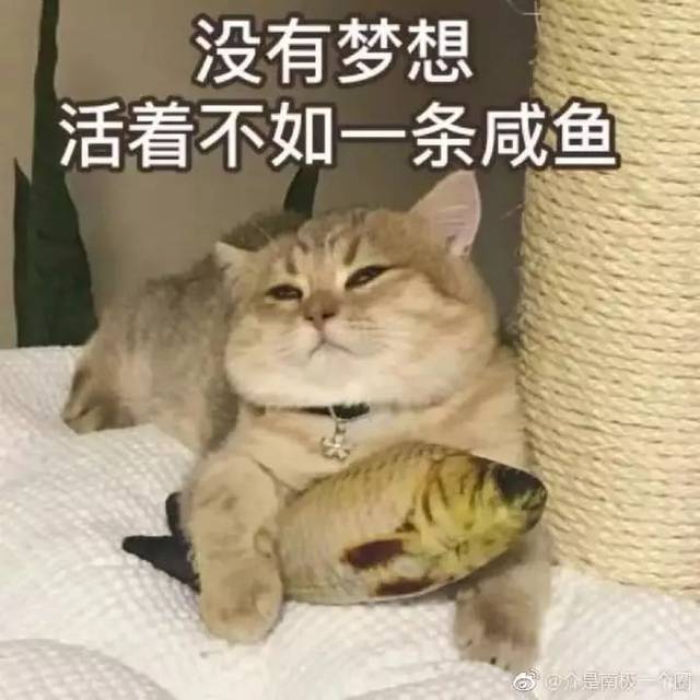 听说95后是史上最懒年轻人?