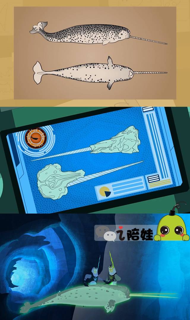 后来翻dk《儿童海洋百科全书》才发现,还真有独角鲸的介绍