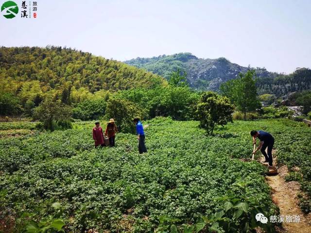 央视《味·道》又来慈溪,这次要探寻的是什么美