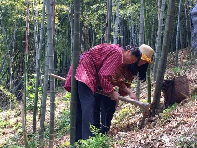 央视《味·道》又来慈溪,这次要探寻的是什么美