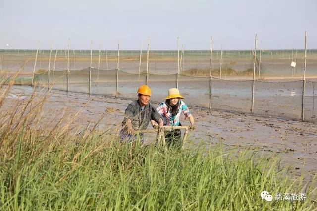 央视《味·道》又来慈溪,这次要探寻的是什么美