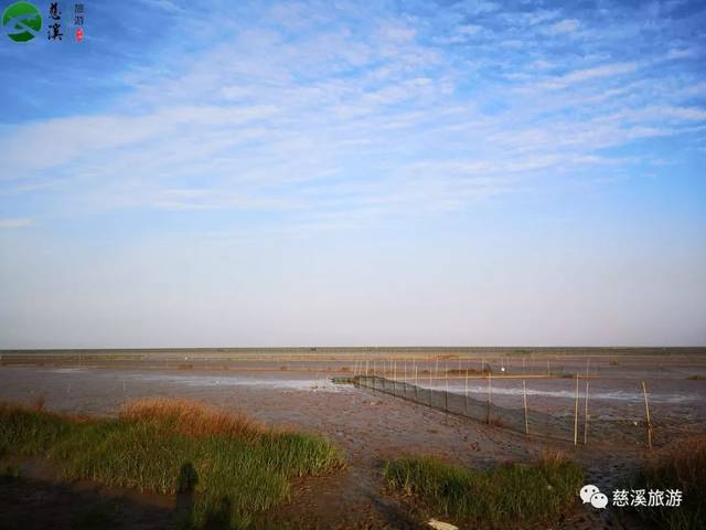 央视《味·道》又来慈溪,这次要探寻的是什么美