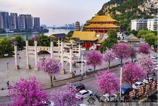 5月19日, 柳州大龙潭景区,柳侯公园,立鱼峰风景区,柳州博物馆,工业