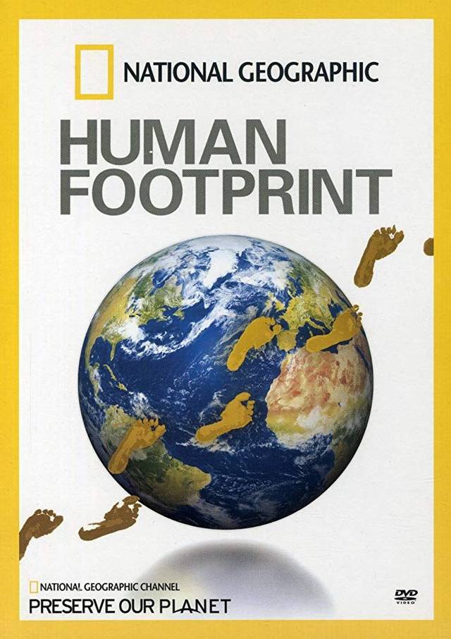 《人类足迹》 (the human footprint) 12800个橙子,4200卷卫生纸