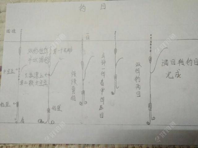 原创懂得调目与钓目,你就是调漂高手