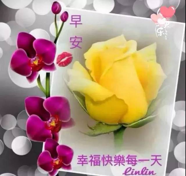 最新早上好祝福问候短信 2019特漂亮的早安祝福唯美图片带字温馨