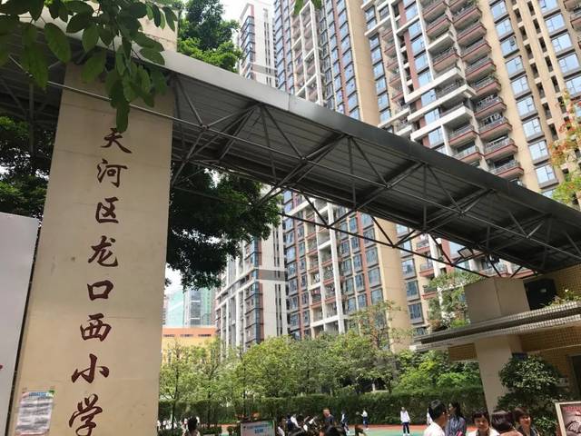 龙口西小学专场活动篇