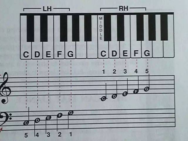 钢琴练习有专门的手指练习曲,例