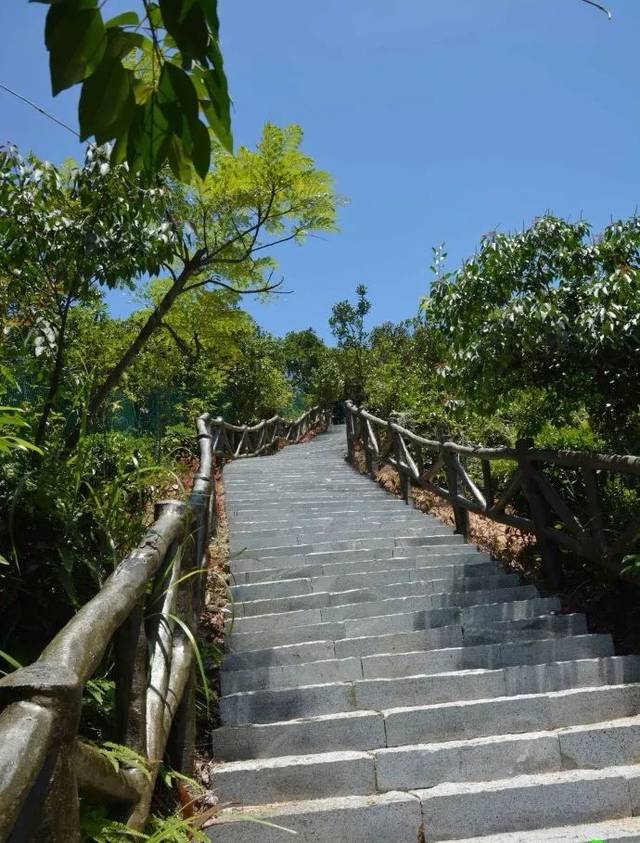 深圳市城市管理局官网 羊台山森林公园 "羊台叠翠"被评为"深圳八景