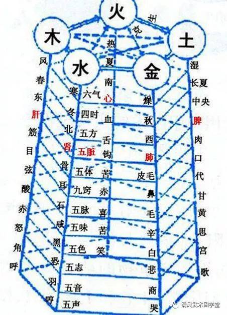 五行与六神