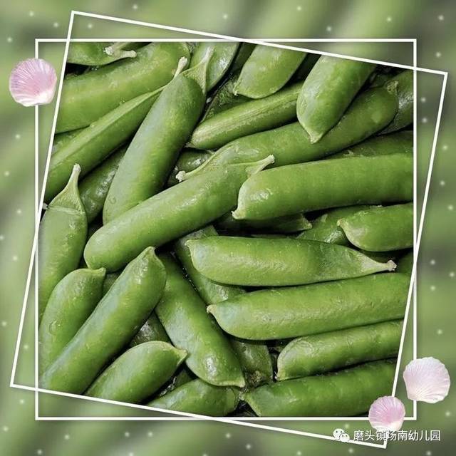 炒蚕豆,炒豌豆,咯里咯吧翻跟头