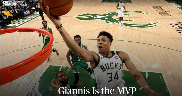 字母哥是哪一年的mvp 91893f1181c340fcb56aab7efbe0bfbf.jpeg