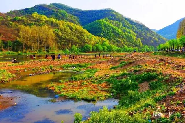 游览路线:确山县常庄 石滚河畔古栗园,栉风沐雨已千年.