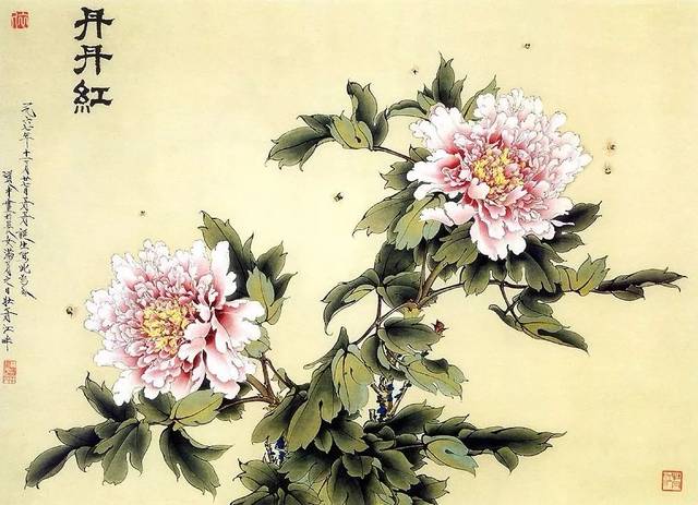 王道中:如何画工笔牡丹