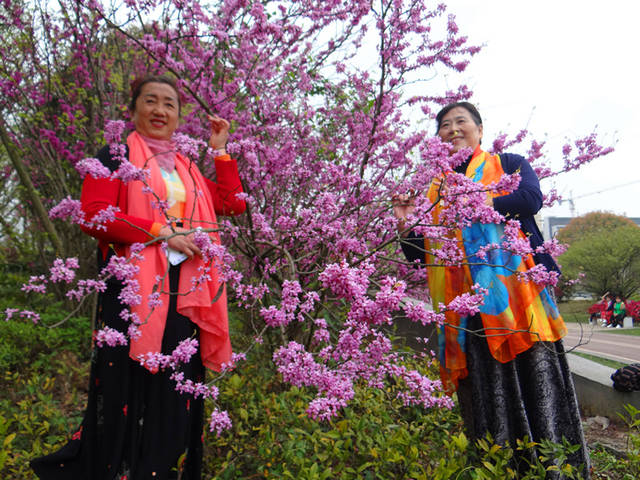 贵州经典山歌歌词-板栗好吃刺又多