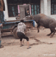 10,别拉我,我自己会上车!