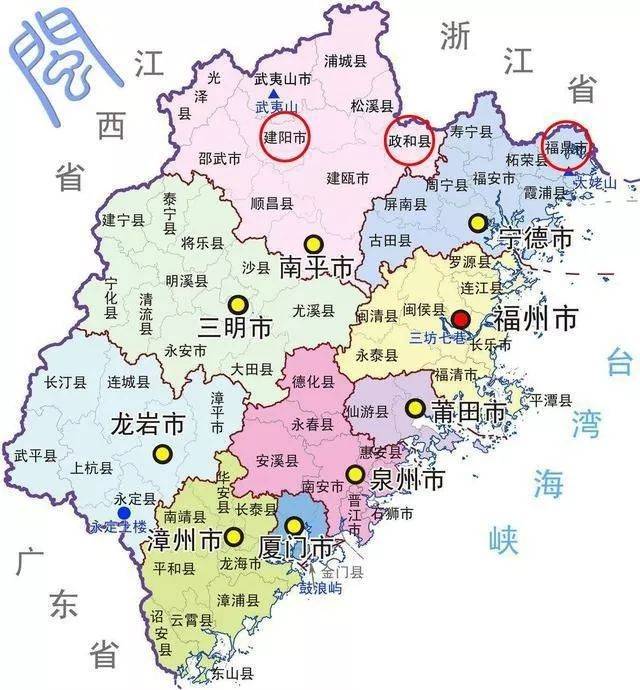 200多年历史的建阳白茶,现在怎么样了?