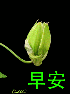 5月20日早上好祝福语唯美句子 早上好图片问候动态全集