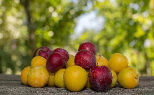 榴莲、山竹、火龙果英文的内涵是什么?简直