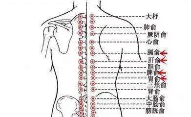 百会是足三阳经与督脉阳气交汇之处,是诸阳之会.