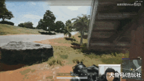 蜜蜂仔OB韦神直播,完美诠释什么叫舔狗!弹幕: