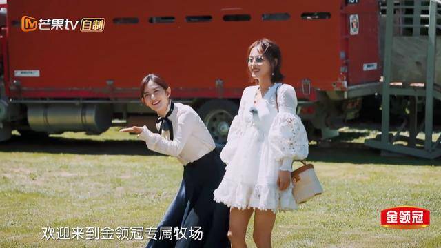 都做网综营销,为什么伊利金领冠独家冠名的《妻旅2》成了热搜