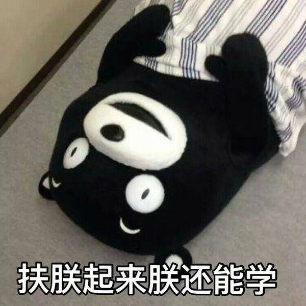 熊本熊关于学习的表情包:我爱学习,学习使我快乐