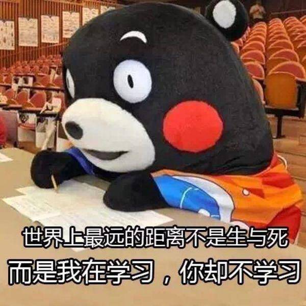 熊本熊关于学习的表情包我爱学习学习使我快乐