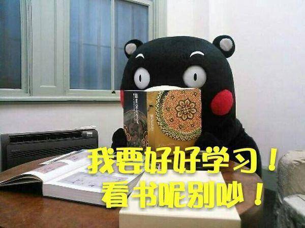 熊本熊关于学习的表情包我爱学习学习使我快乐