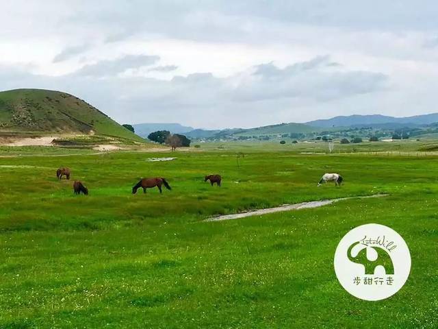 【暑假】深度行走内蒙古草原,探索草原文明的变迁!| 青禾旅读