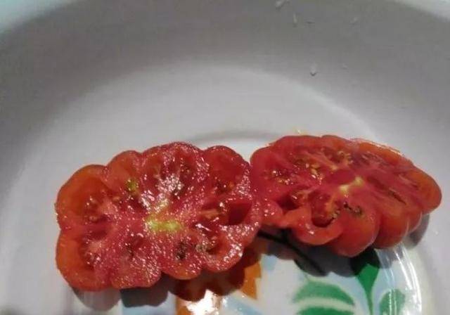 东北汉子别墅后院种巧克力番茄,牛排番茄,一年卖种子只赚3000元