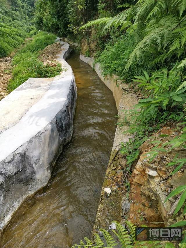 (专门修建的水渠引将军岭的山泉水进入水库)