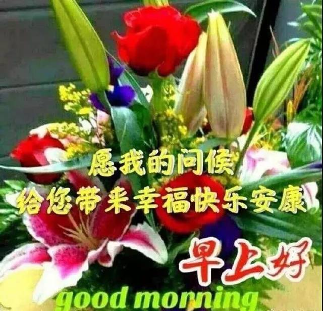 清晨问候早上好带鲜花动态图片带字,唯美早上好问候语