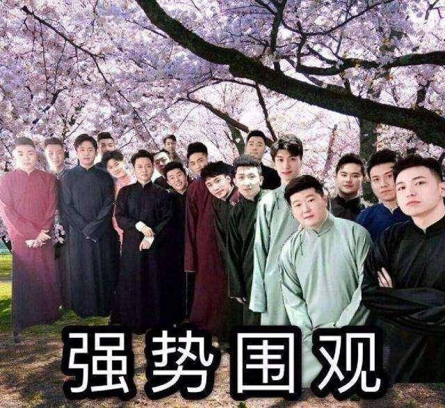 于谦围观大尺度内容,成砸挂素材,德云社强势围观,九字