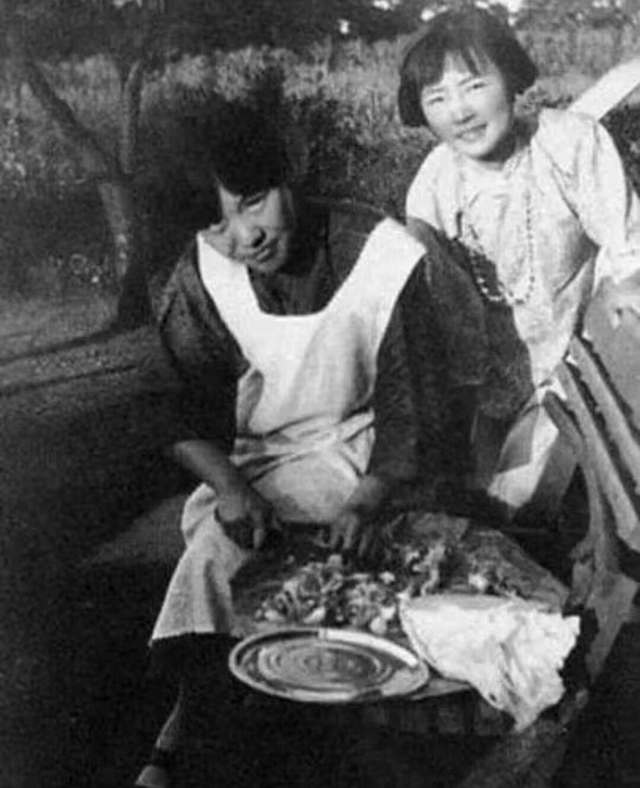 历史珍贵照片,林徽因和冰心罕见合影,溥仪与赶