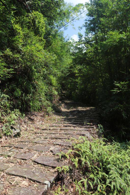 瓯海健身步道,登山 赏景 愉悦心情 等你去打卡!